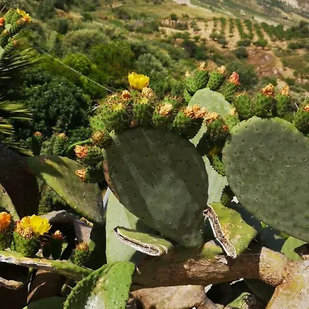 Antico Borgo Dei Templi