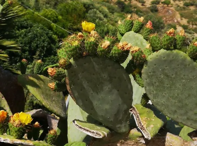 Antico Borgo Dei Templi